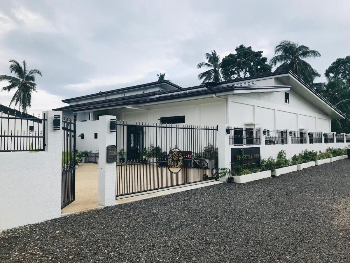 Thistle Inn Panglao Exterior photo